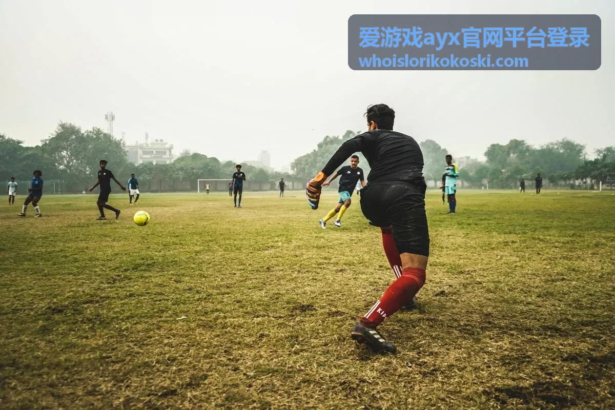 爱游戏ayx官网平台登录周年庆典活动画面
