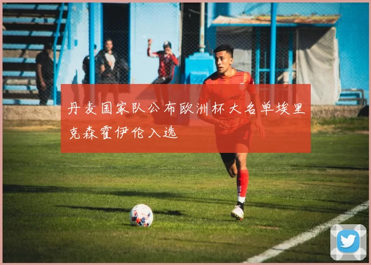 丹麦国家队公布欧洲杯大名单埃里克森霍伊伦入选