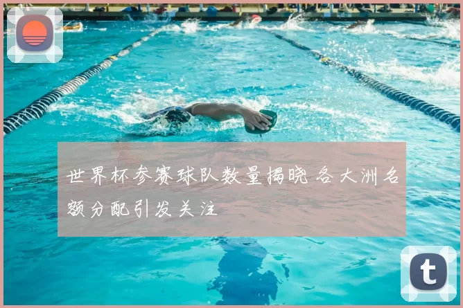 世界杯参赛球队数量揭晓 各大洲名额分配引发关注