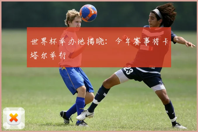 世界杯举办地揭晓：今年赛事将卡塔尔举行