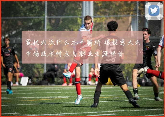 蒙托利沃什么水平解析 退役意大利中场技术特点与职业生涯评价