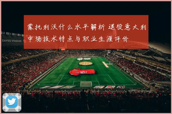 蒙托利沃什么水平解析 退役意大利中场技术特点与职业生涯评价