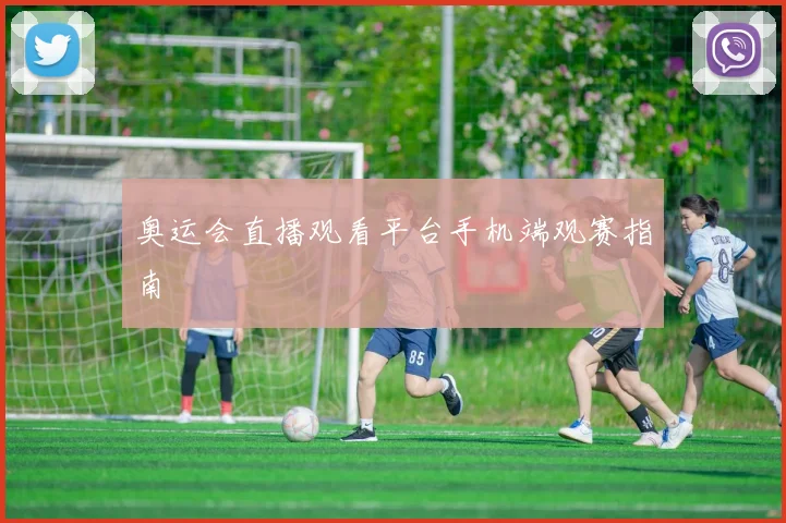 奥运会直播观看平台手机端观赛指南
