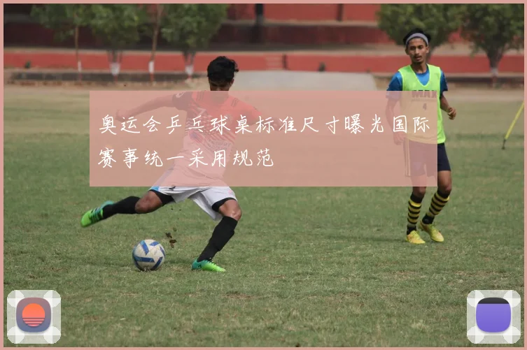 奥运会乒乓球桌标准尺寸曝光国际赛事统一采用规范