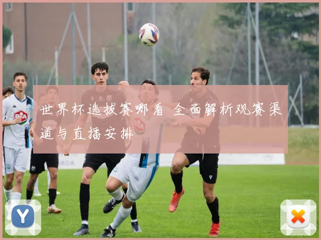世界杯选拔赛哪看 全面解析观赛渠道与直播安排