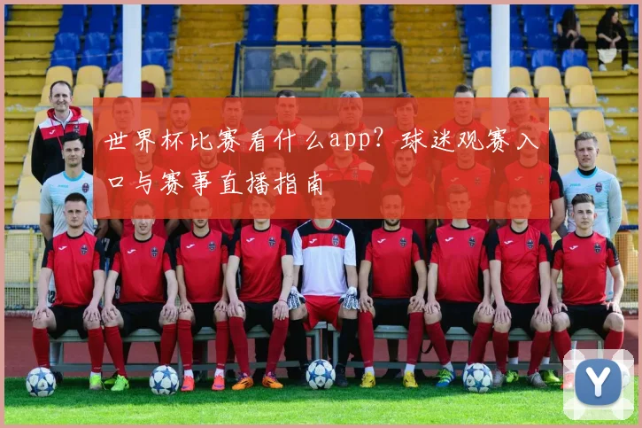 世界杯比赛看什么app？球迷观赛入口与赛事直播指南